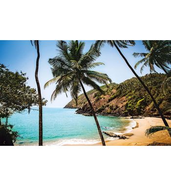 Тур из Ташкента на ГОА!